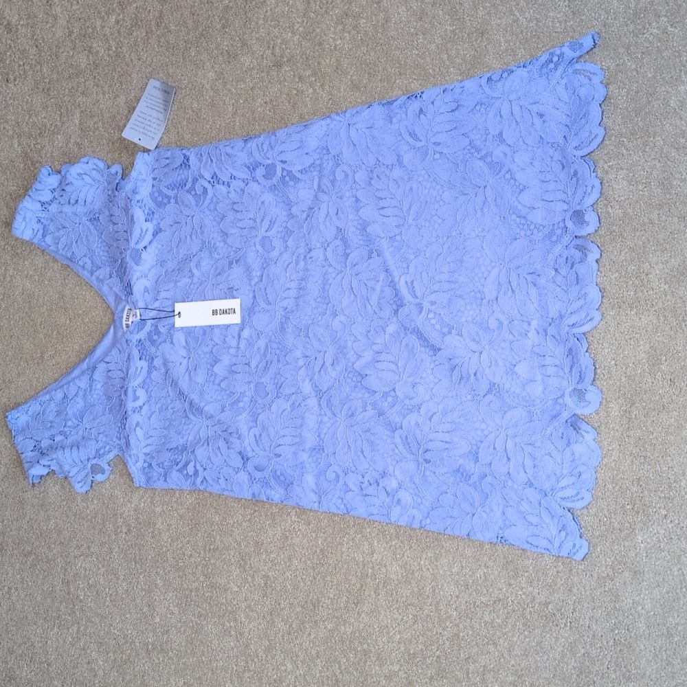 BB Dakota Blue Lace Dress - Picture 2 of 10